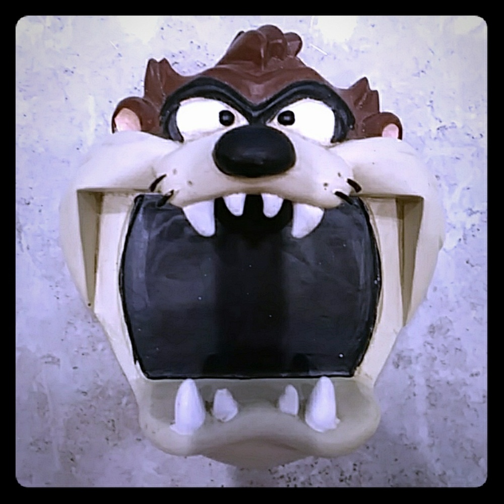 Taz Biz Card Holder